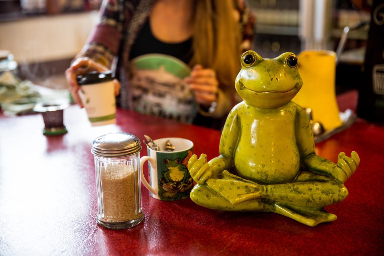 The Pickled Frog Hostel Hobart Kültér fotó